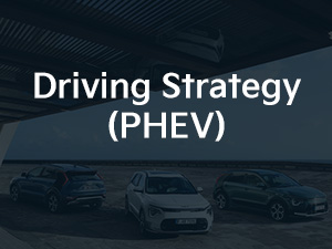 Kia Niro Driving Strategy